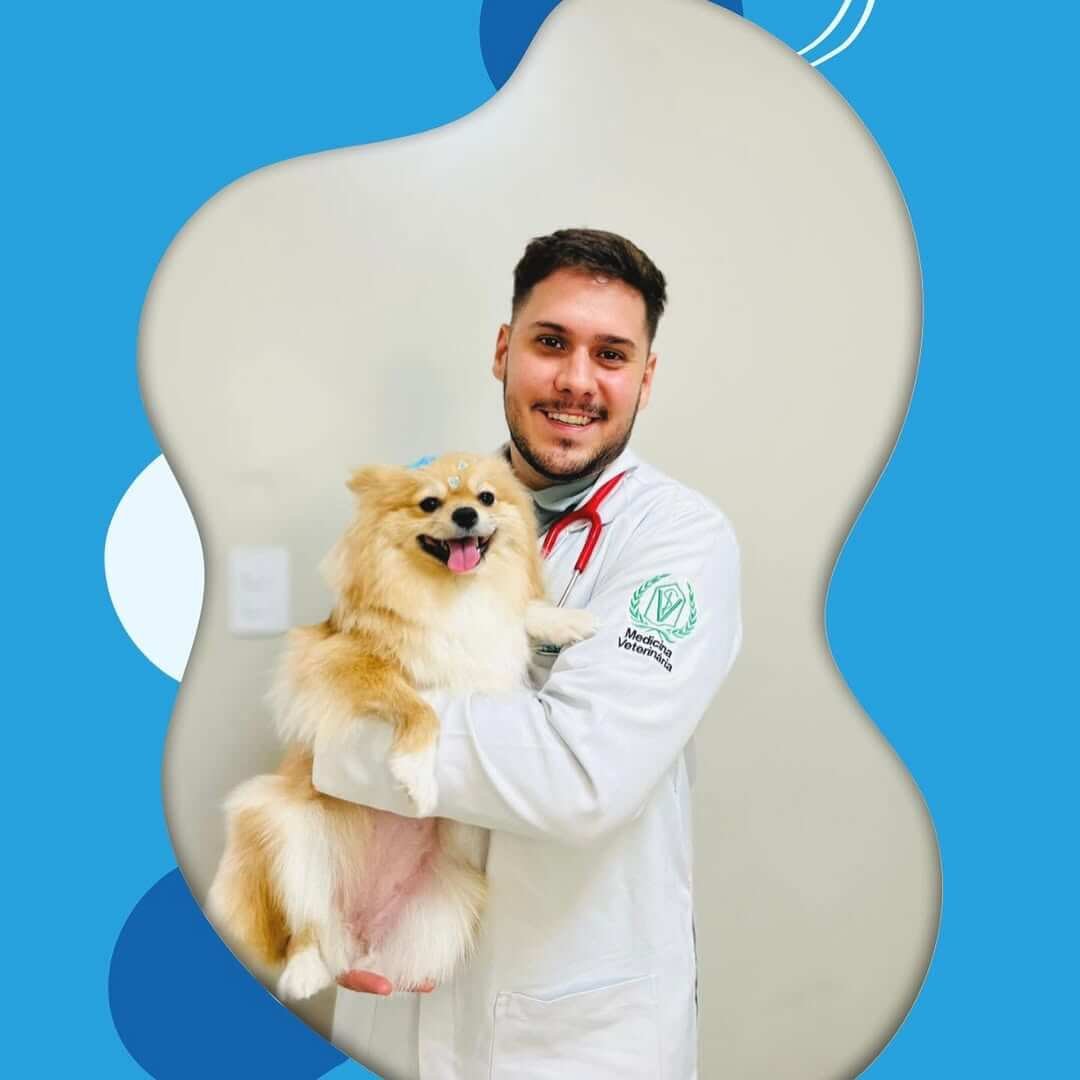 Alguns de meus pacientes 🐾🫶🏼🐱🐶🦴 atendidos na @petsevetsclinicaveterinaria e na @unaclinica (1)