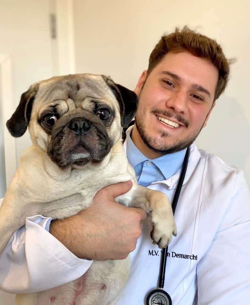 Veterinário a Domicílio na Saúde