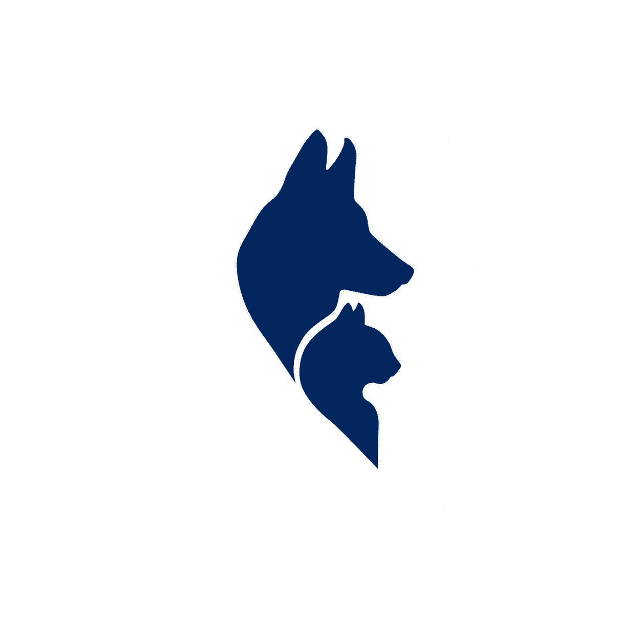 Logo Dr. Yan Demarchi Veterinário Domiciliar